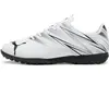 Image de Chaussures de football Puma Attacanto TT Blanc 39 10747805WB6