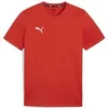 Image de T-shirt Puma Team Goal Rouge L 658615-01