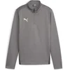 Image de Haut d'entraînement enfant Puma TeamGoal Gris 10 ans 658632-13
