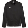 Image de Veste de survêtement Puma TeamGoal Noir L 658633-03