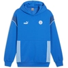 Image de Sweatshirts à capuche Puma  Manchester City P28701180