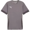 Image de Maillot Puma Teamgoal Matchday Gris XL 705747-13