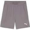 Image de Short Puma TeamGloal Gris XS 705752-13