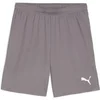 Image de Short Puma TeamGloal Gris 3XL 705752-13