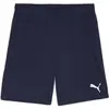 Image de Short Puma TeamGloal Bleu XL 705752-06
