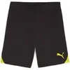 Image de Short Puma TeamGloal Noir 3XL 705752-26