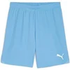 Image de Short Puma TeamGloal Bleu L 705752-18