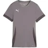 Image de Maillot femme Puma TeamGoal Matchday Gris XS 705749-13