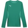 Image de Maillot manches longues Puma TeamGoal Vert XL 705750-05