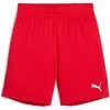 Image de Short d'entraînement enfant Puma TeamGoal Rouge 12 ans 705753-01