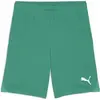 Image de Short Puma TeamGoal Vert L 705752-05