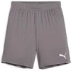 Image de Short enfant Puma TeamGloal Gris 6 ans 705753-13
