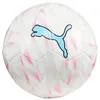 Image de Ballon De Football Puma Final