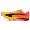 Image de Chaussures Puma  Evospeed Long Distance Nitro Elite 2 P31646913