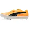 Image de Chaussures Puma  Evospeeds P31722551