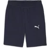 Image de Short Puma TeamGoal Bleu L 658608-06