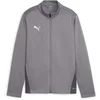 Image de Veste de survêtement enfant Puma TeamGoal Gris 14 ans 658634-13