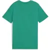 Image de T-shirt enfant Puma teamGOAL Casuals Vert 10 ans 658616-05