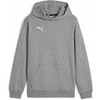 Image de Sweatshirt à capuche enfant Puma teamGoal Gris 14 ans 658619-33
