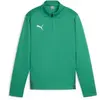 Image de Haut d'entraînement enfant Puma TeamGoal Vert 8 ans 658632-05