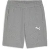 Image de Short Puma TeamGoal Gris XS 658608-33