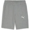 Image de Short Puma  - P30579690