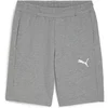 Image de Short Puma TeamGoal Gris M 658608-33