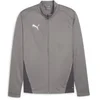 Image de Veste de survêtement Puma TeamGoal Gris L 658633-13