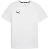 Image de T-shirt Puma teamGOAL Casuals Blanc S 658615-04