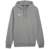 Image de Sweatshirt à capuche Puma Teamgoal Casuals Gris 3XL 658618-33