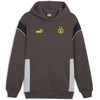 Image de Sweatshirts à capuche Puma  Dortmund P28701221