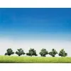 Image de ModÃ©lisme Accessoires De DÃ©cor - VÃ©gÃ©tation - Arbres SÃ©rie Super : 6 Broussailles-Faller
