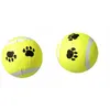 Image de Balles De Tennis Pour Chiens X2