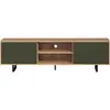 Image de Meuble TV - SENTRA - 2 portes, 2 niches - Vert foncÃ© - 184 x 40 x 52 cm - TRENDTEAM