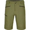 Image de Ortovox - Short technique - Pelmo Shorts M Wild Herbs pour Homme - Taille M - Kaki
