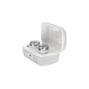 Image de Sennheiser Momentum True Wireless 4 Silver - Écouteurs True Wireless
