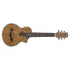 Image de Ibanez Ewp14wb-Opn - Open Pore Natural - Guitare Acoustique Piccolo