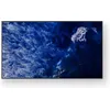 Image de Sony Bravia Professional Displays FW-98BZ53L - 98" BZ53L Series Ã©cran LCD rÃ©tro-Ã©clairÃ© par LED - signalisation numÃ©rique - Android TV - 4K UHD (2160p) 3840 x 2160 - HDR - Direct LED - noir