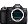 Image de EOS R6 Mark II en occasion ou reconditionné