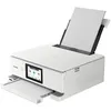 Image de CANON PIXMA TS8751