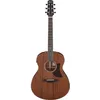 Image de Ibanez Aam740e Platinum Collection Natural Low Gloss Guitare Ãlectro-Acoustique Folk Avec Ãtui