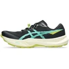Image de Chaussures Asics  Fuji Lite 6 M67950576