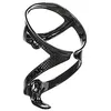 Image de Porte-Bidon Topeak X 3k Carbone