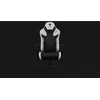 Image de Fauteuil Thunderx3 Compatible Tc5 Max (blanc)