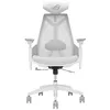 Image de Chaise Gaming Asus ROG Destrier Core Blanche Â¿ Ergonomique, Accoudoirs 3D 360Â°, Mesh respirant, Inclinaison 125Â°, SiÃ¨ge rÃ©glable