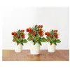 Image de Recharge jardin d'intÃ©rieur Click And Grow Mini tomates lot de 3