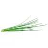 Image de Recharge triple de Ciboulette pour Smart Garden - Click and Grow
