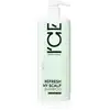 Image de Natura Siberica ICE Professional Refresh My Scalp shampooing nettoyant détoxifiant 1000 ml