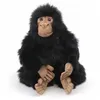 Image de Chimpanze Bebe 25 Cm - Anima