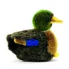 Image de Colvert 12cm
